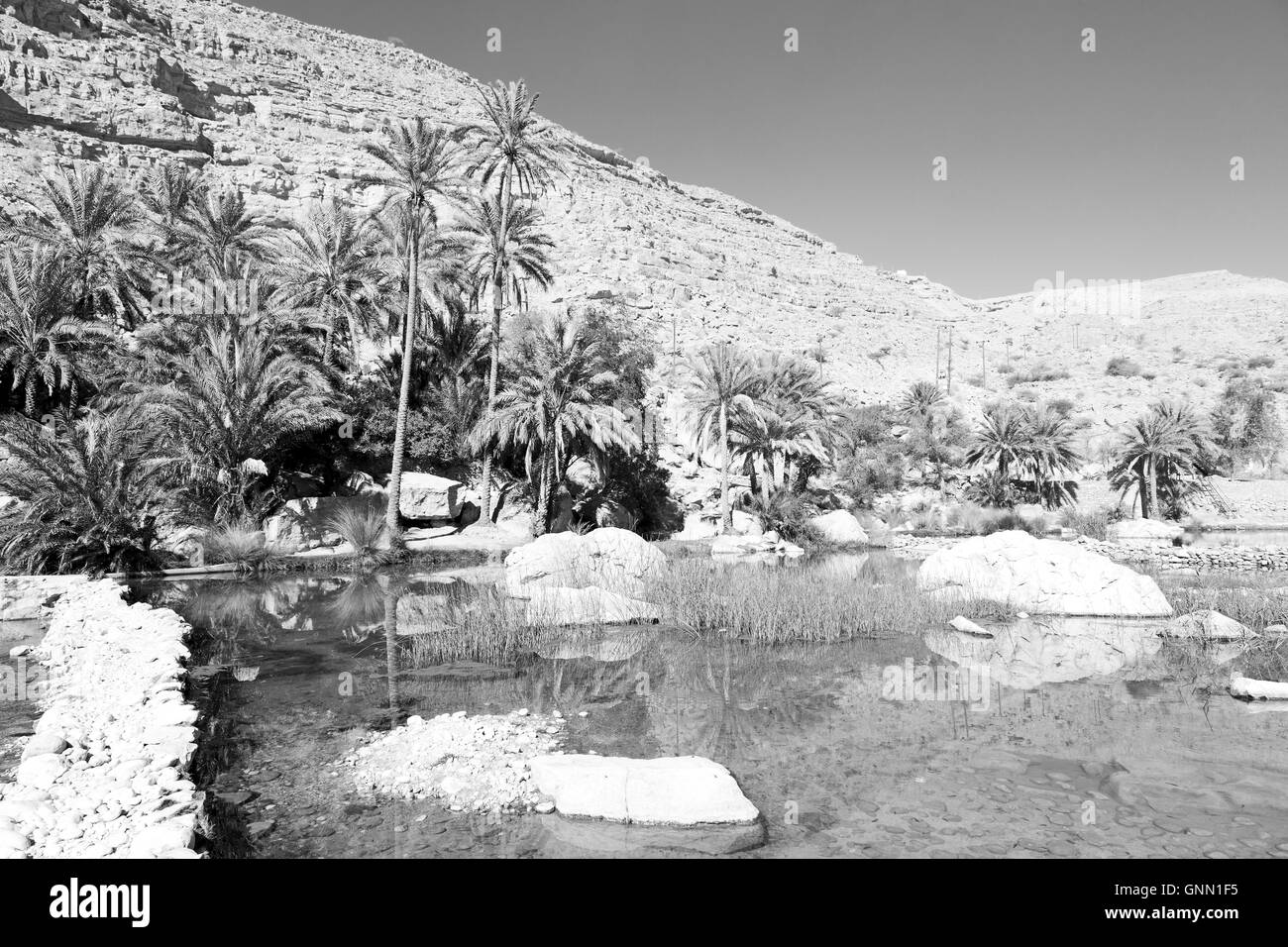Omán montaña vieja y agua en canyon wadi oasi paraíso natural Foto de stock