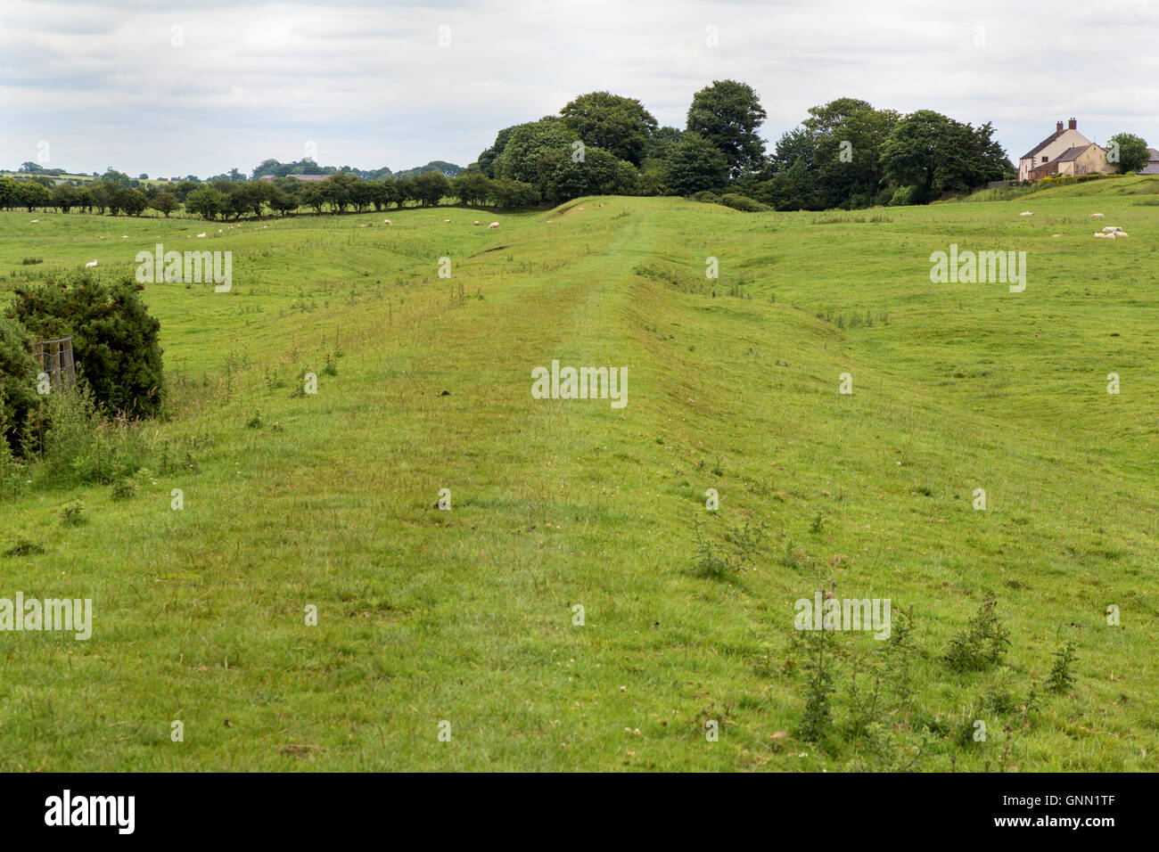 Los restos de la Muralla de Adriano, Bleatarn granja, Cumbria, Inglaterra, Reino Unido. Los restos de la zanja en el lado norte de la izquierda. Foto de stock
