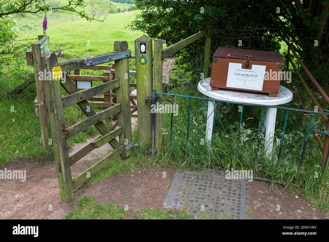 El Muro de Adriano Honestidad Box cerca Bleatarn granja, Cumbria, Inglaterra, Reino Unido. Foto de stock