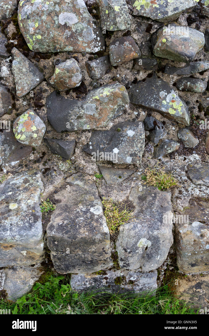 En Northumberland, Inglaterra, Reino Unido. El Muro de Adriano mostrando formas cónicas de piedras utilizadas en la construcción del frente externo. Foto de stock