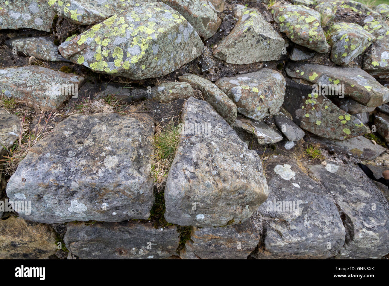 En Northumberland, Inglaterra, Reino Unido. El Muro de Adriano mostrando formas cónicas de piedras utilizadas en la construcción del frente externo. Foto de stock