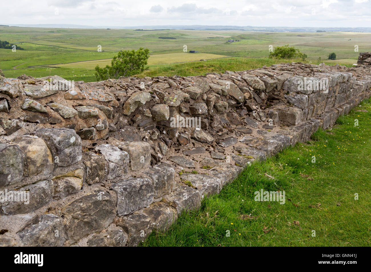 En Northumberland, Inglaterra, Reino Unido. El Muro de Adriano cerca Milecastle 35, piedras desaparecidas. Foto de stock