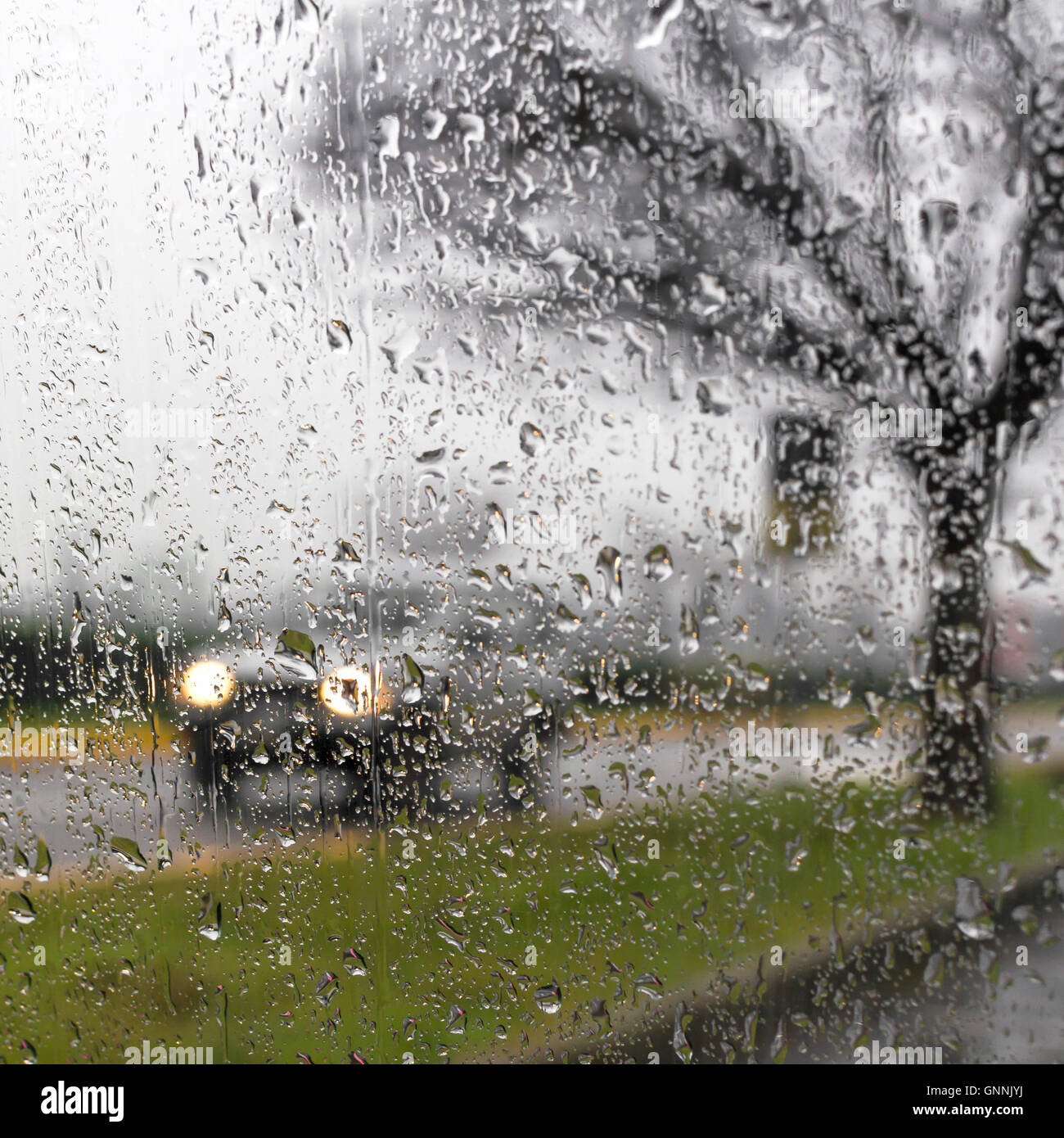 La lluvia en el cristal de coche, día lluvioso, disparó a través de un parabrisas, centrándose en las gotas de lluvia. Foto de stock