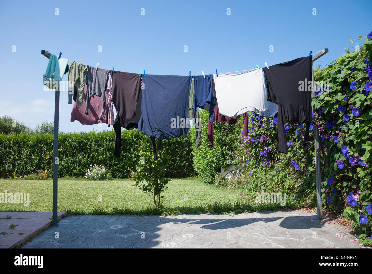 Tendedero exterior con coloridas camisetas y ropa de bebé para adultos en  el jardín de plantas verdes y cielo azul Fotografía de stock - Alamy