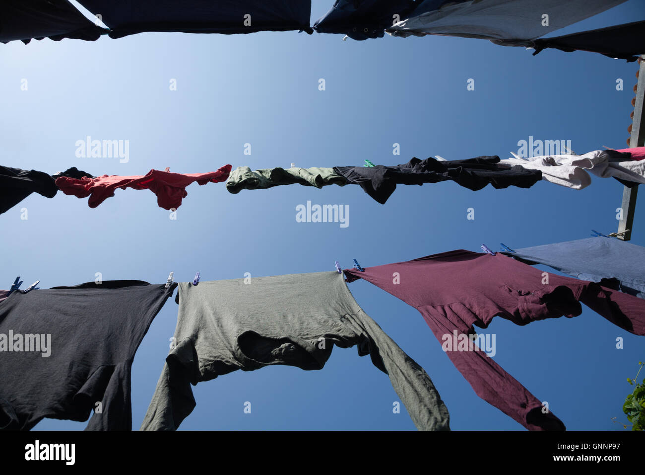 Tendedero exterior con coloridas camisetas y ropa de bebé para adultos en  el jardín de plantas verdes y cielo azul Fotografía de stock - Alamy