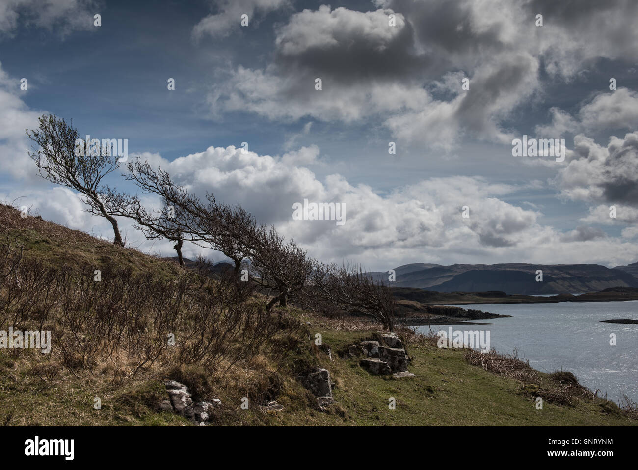 Tobermory, Reino Unido, el paisaje de la costa de la isla de Mull, en Escocia Foto de stock