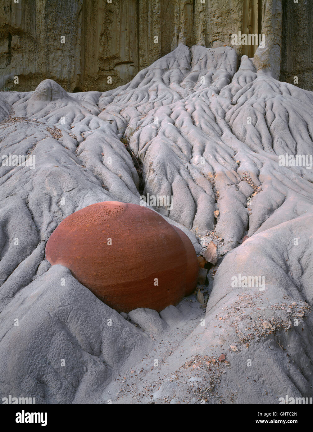 Estados Unidos, Dakota del Norte, el Parque Nacional Theodore Roosevelt, un resistente a la erosión concreción se expone como los sedimentos blandos erosionan. Foto de stock
