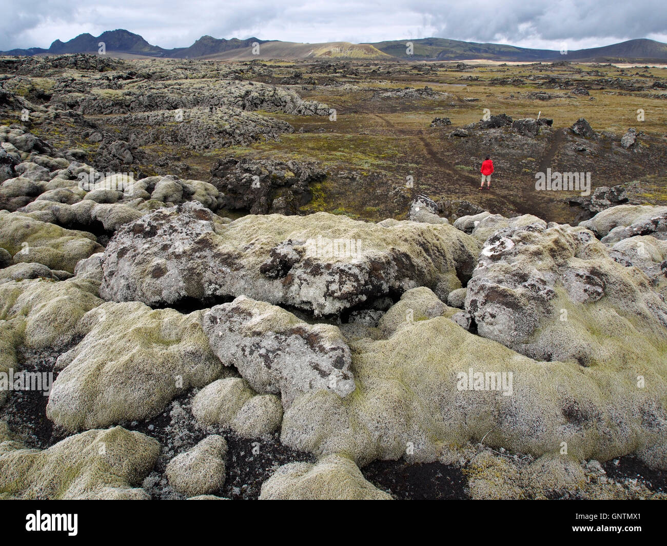 Flujo de lava Lambafitjarhraun cerca Landmannahellir, Islandia Foto de stock