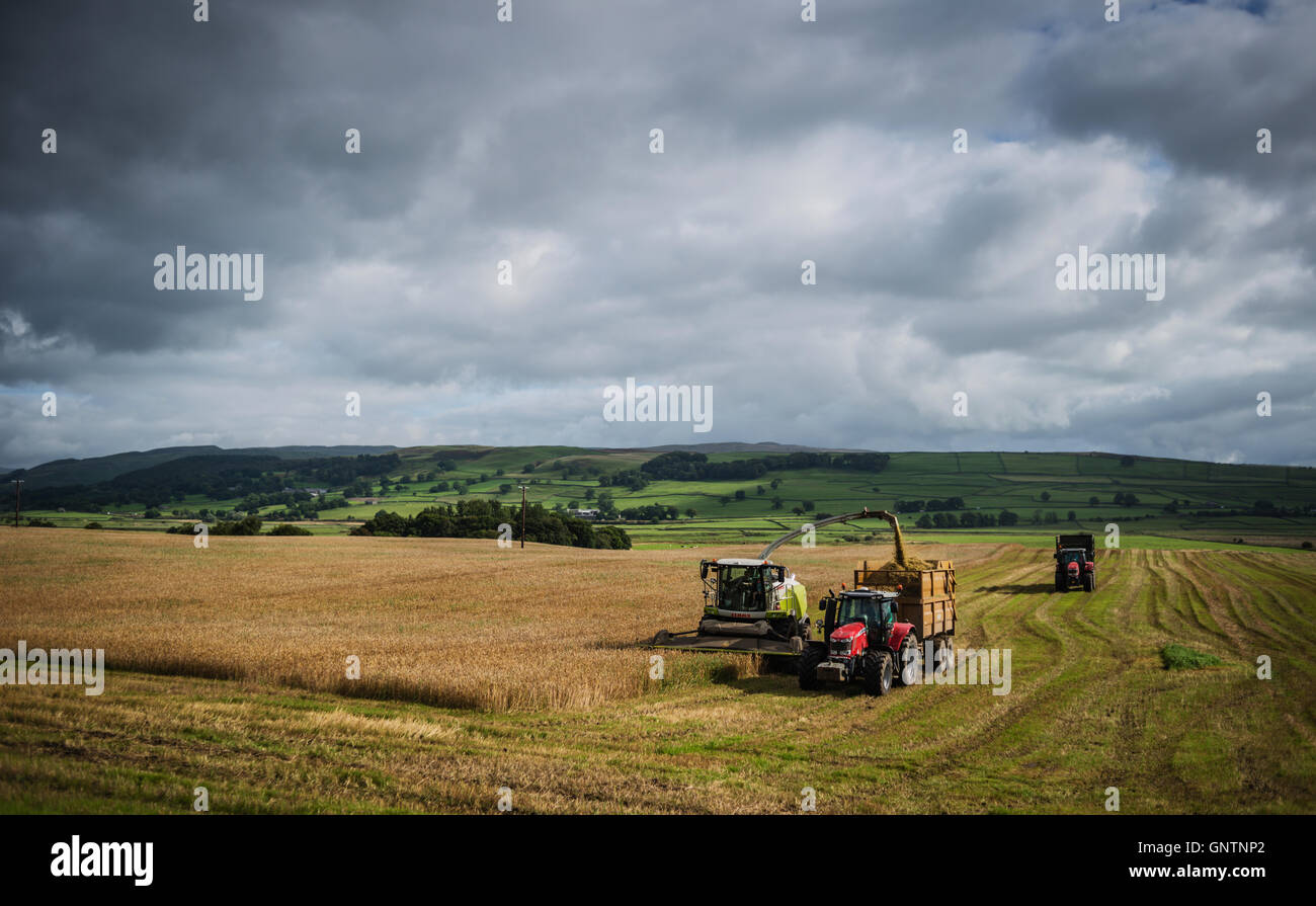 Trayendo la cosecha, primer día de otoño, los valles de Yorkshire, Reino Unido. Foto de stock