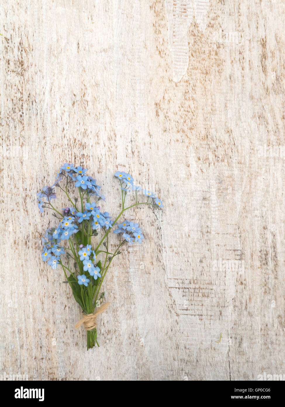 Blue Forget-me-not flores ramo atado con cuerda de yute en el rústico de madera con textura de fondo blanco Foto de stock