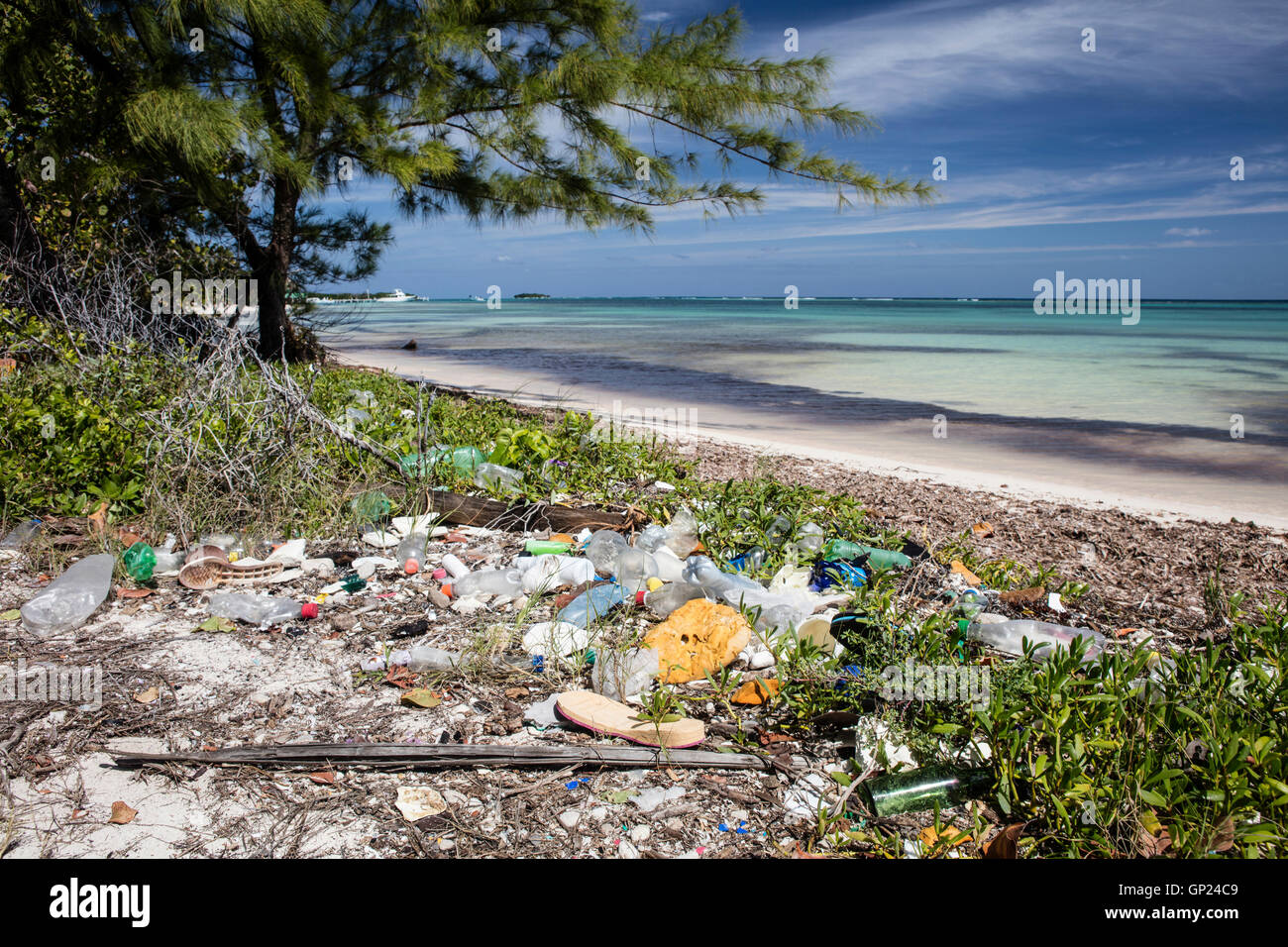 Los residuos plásticos se lavan en la orilla, Turneffe Atoll, Caribe, Belice Foto de stock