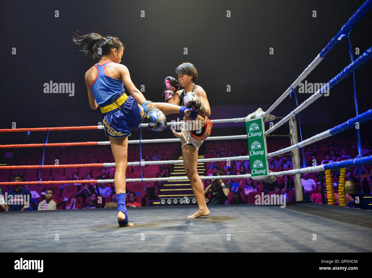 NOCHE DE KICK BOXING, 🚨YA EMPEZÓ🚨 Sigue con nosotros las peleas de Kick  boxing y Muay Thai #peleas #kickboxing #muaythai, By InternetvDeportes