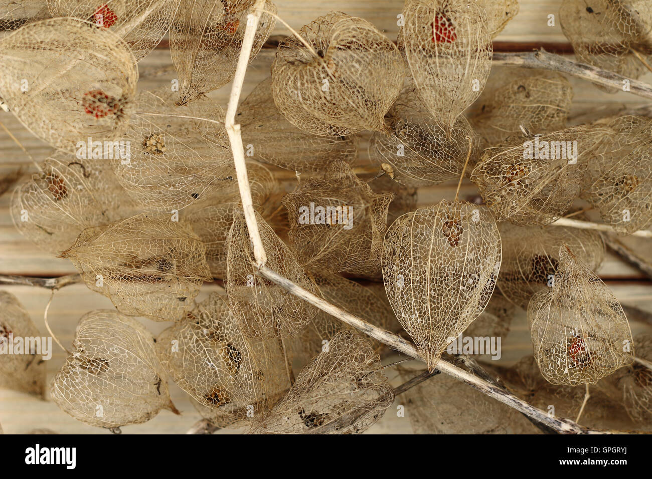 Los frutos secos de la uchuva en placa de madera Foto de stock