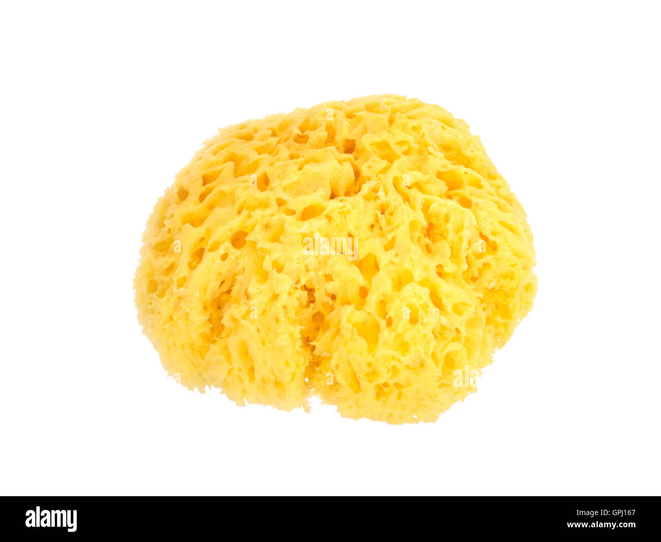 Esponja natural amarillo redondo aislado en blanco Foto de stock