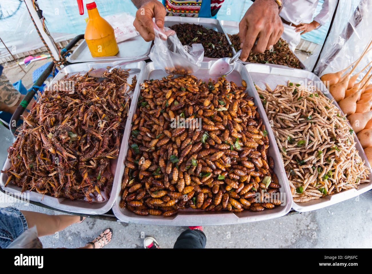 Insectos fritos, Bugs frito sobre comida callejera en Tailandia Foto de stock