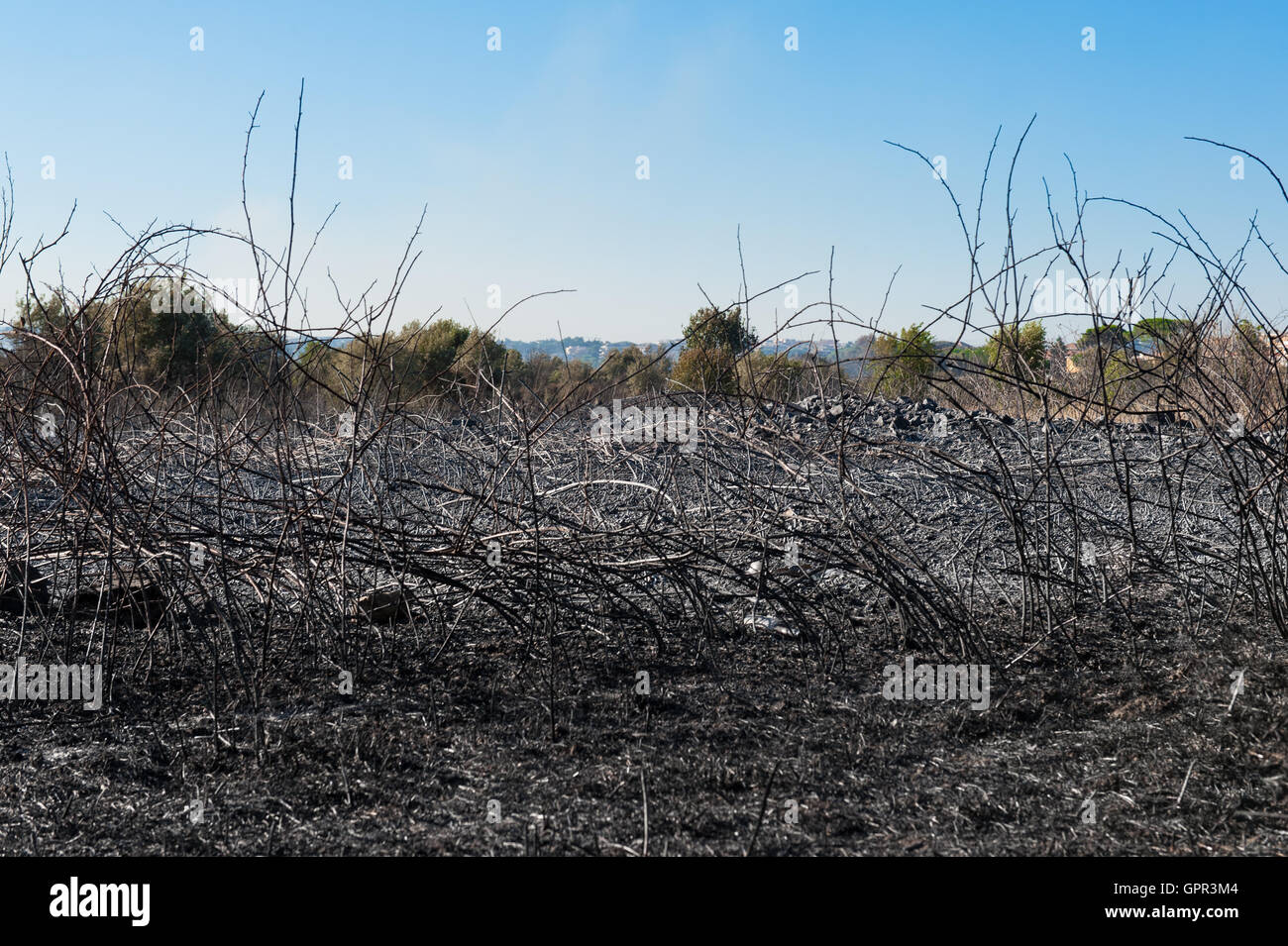 La vista horizontal de un campo quemado y tierra quemada tras el incendio Blaze, paisaje urbano en segundo plano. Foto de stock