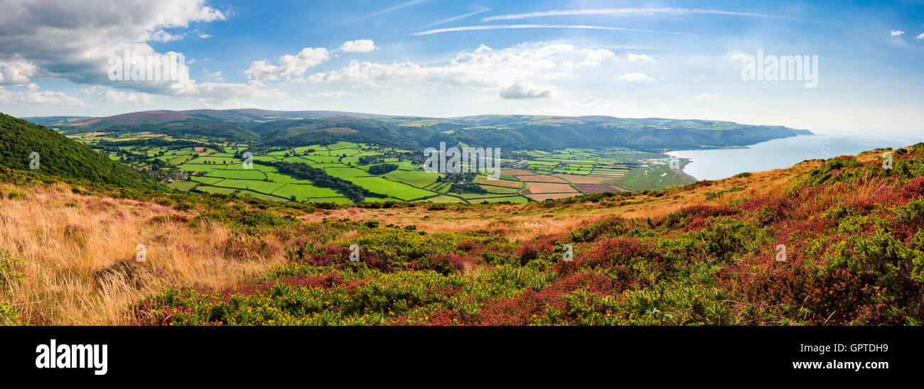 Bossington Hill a finales de verano, con vistas a la bahía de Porlock Porlock y en Exmoor National Park, Somerset, Inglaterra. Foto de stock