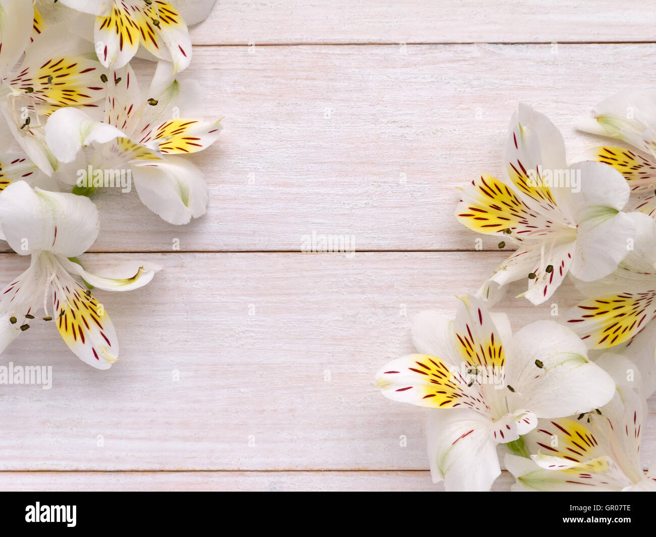 Ramos de licitación alstroemeria flores blancas y amarillas en las esquinas del fondo rústico Foto de stock