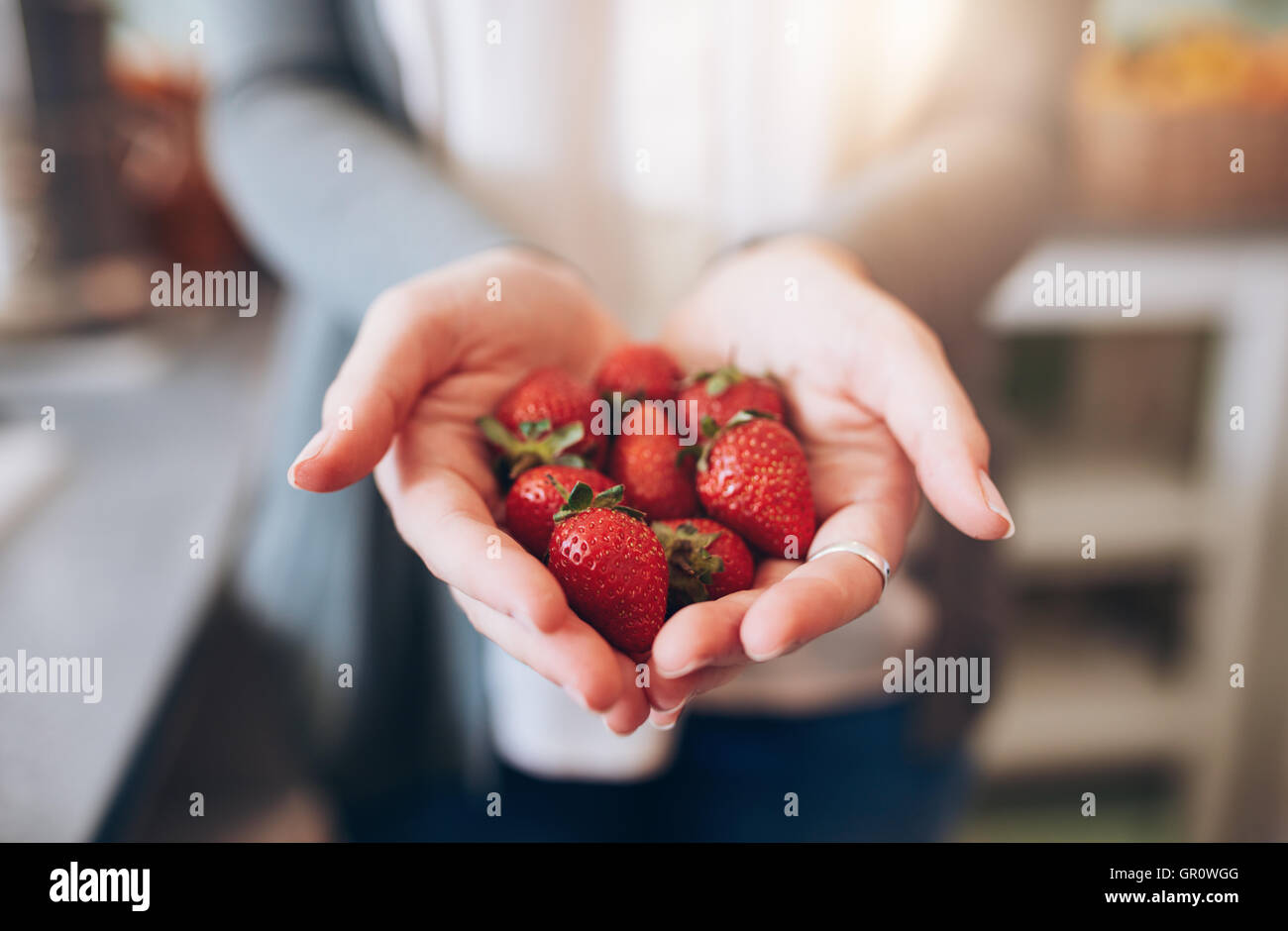 Imagen recortada a una mujer manos sosteniendo un montón de fresas. Mujer sosteniendo un puñado de fresas frescas. Foto de stock