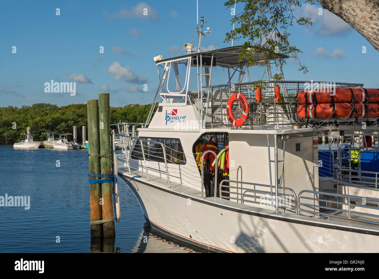 Los Cayos de Florida, Key Largo, John Pennekamp Coral Reef State Park, marina, Puerto, barco de buceo Foto de stock
