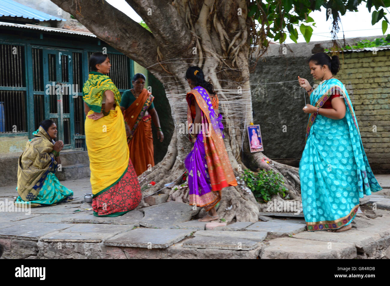 Festival indio - Iva Savitri: Savitri festival cae en el día de luna llena del mes Jyeshtha, India. También llamado Banyan Foto de stock