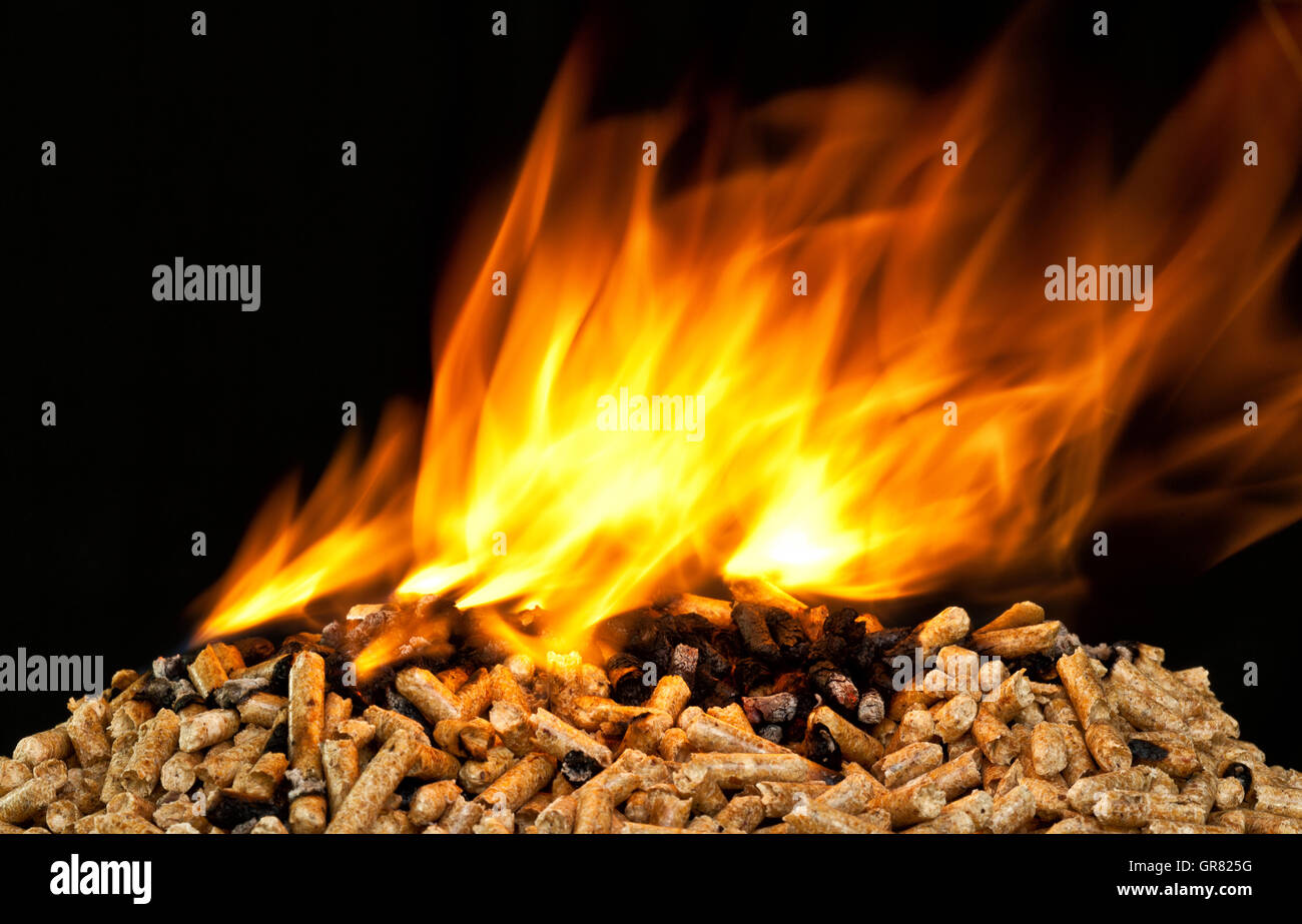 La quema de pellets de madera con llama Foto de stock