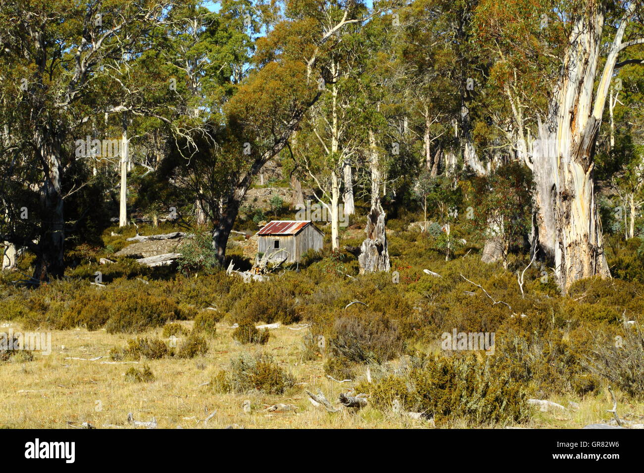 Una cabaña de madera entre el bosque australiano en las estepas en el corazón de las montañas centrales de desierto en Tasmania, Australia. Foto de stock