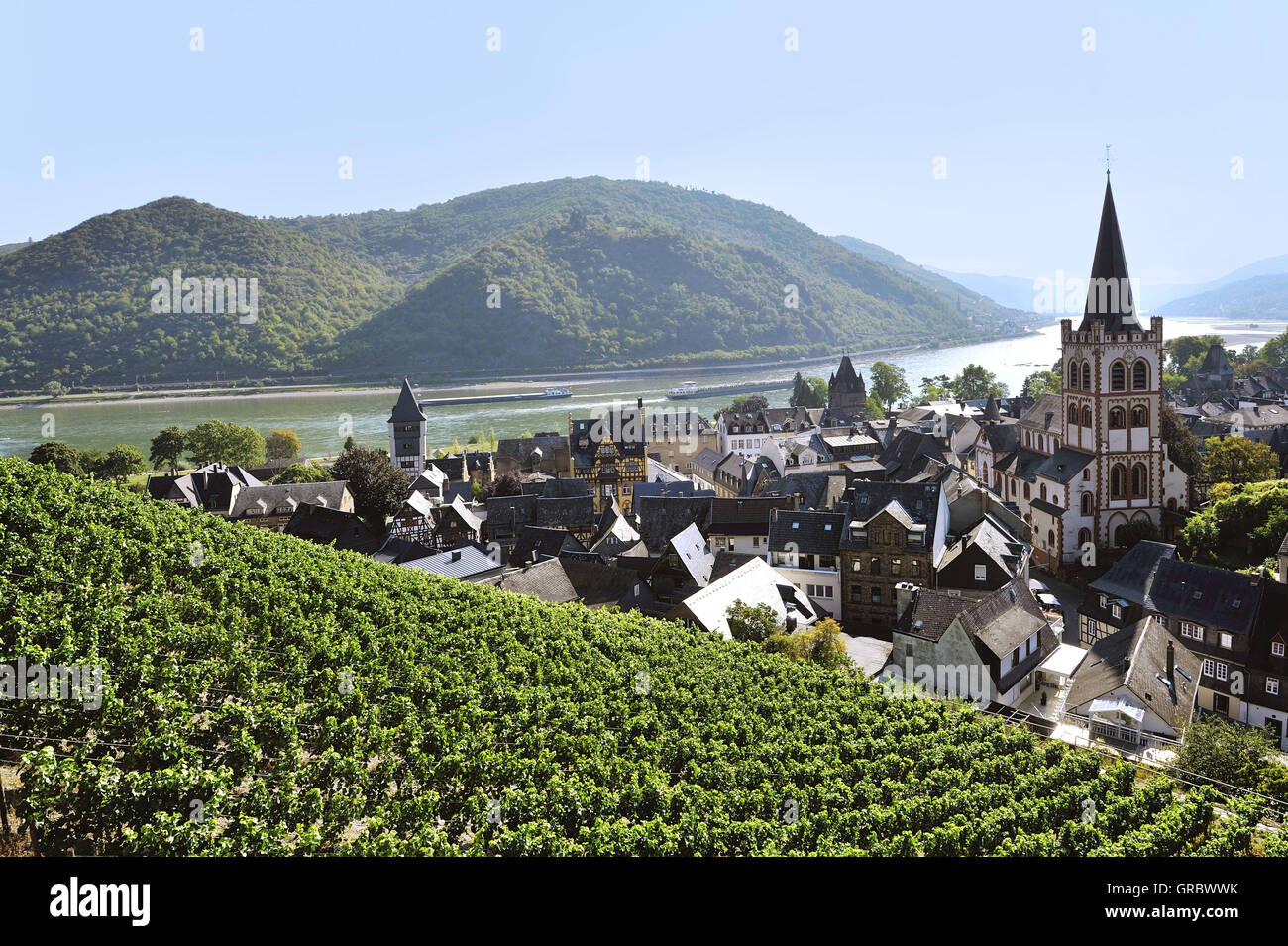 Vista panorámica de la ciudad Bacharach, viñedos y del Rin, el Alto Valle del Rin Medio, Alemania Foto de stock