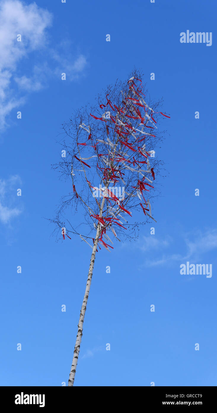 Árbol de mayo con cintas rojas bajo el azul cielo nublado Foto de stock