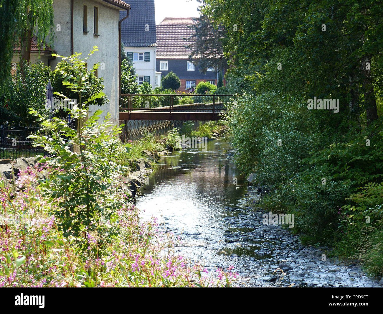 El Riachuelo Steinach meandros idílicamente a través Heubisch cerca de Sonneberg, Turingia Foto de stock