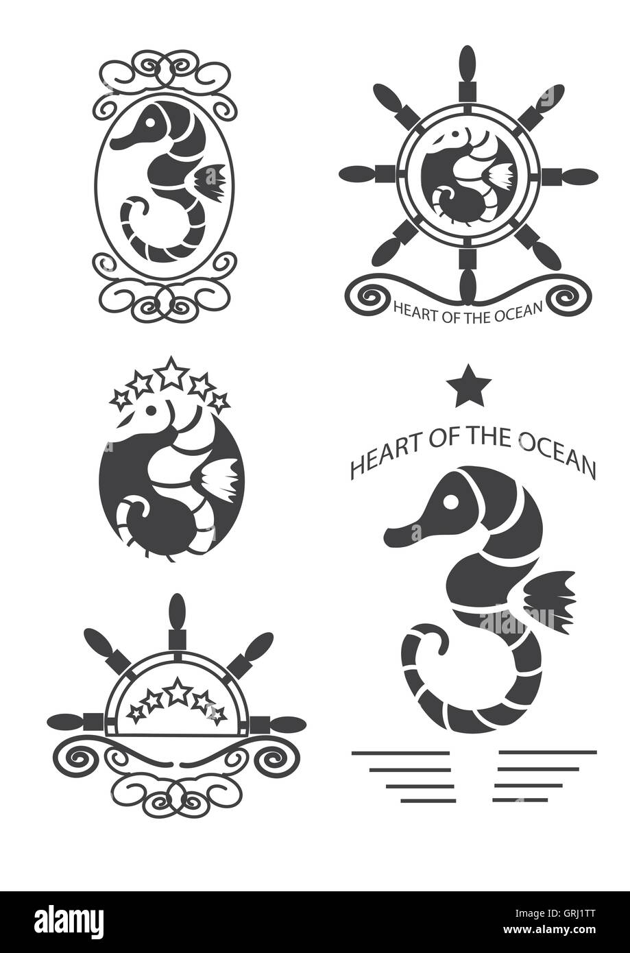 Conjunto de vintage seahorse etiquetas, emblemas y elementos de diseño. Vector Ilustración del Vector