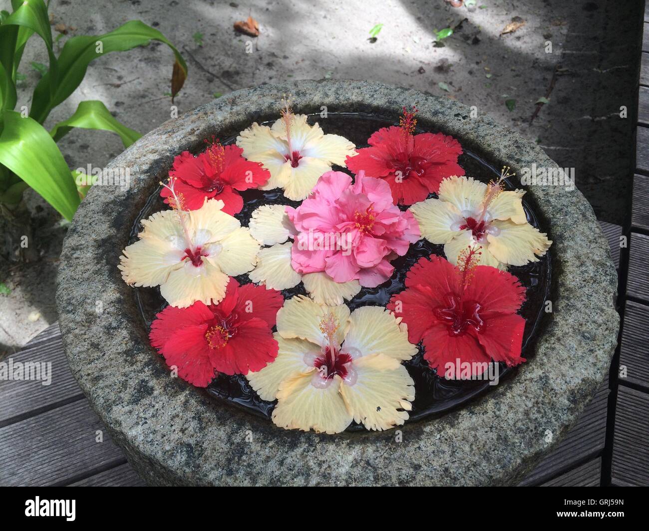 Arreglo de flores al aire libre en un recipiente flotante Foto de stock