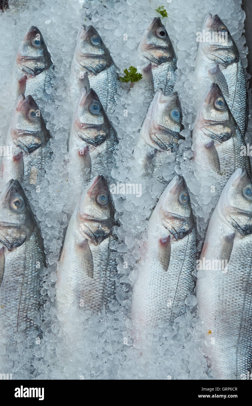 Pescado fresco en hielo en el puesto de Fishmonger Foto de stock