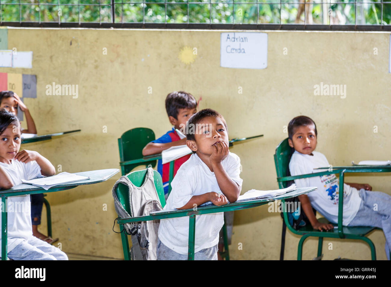 Los niños en las aulas de la escuela en la Comunidad Pilchi en el río Napo (un afluente amazónico), Ecuador, Sudamérica Foto de stock