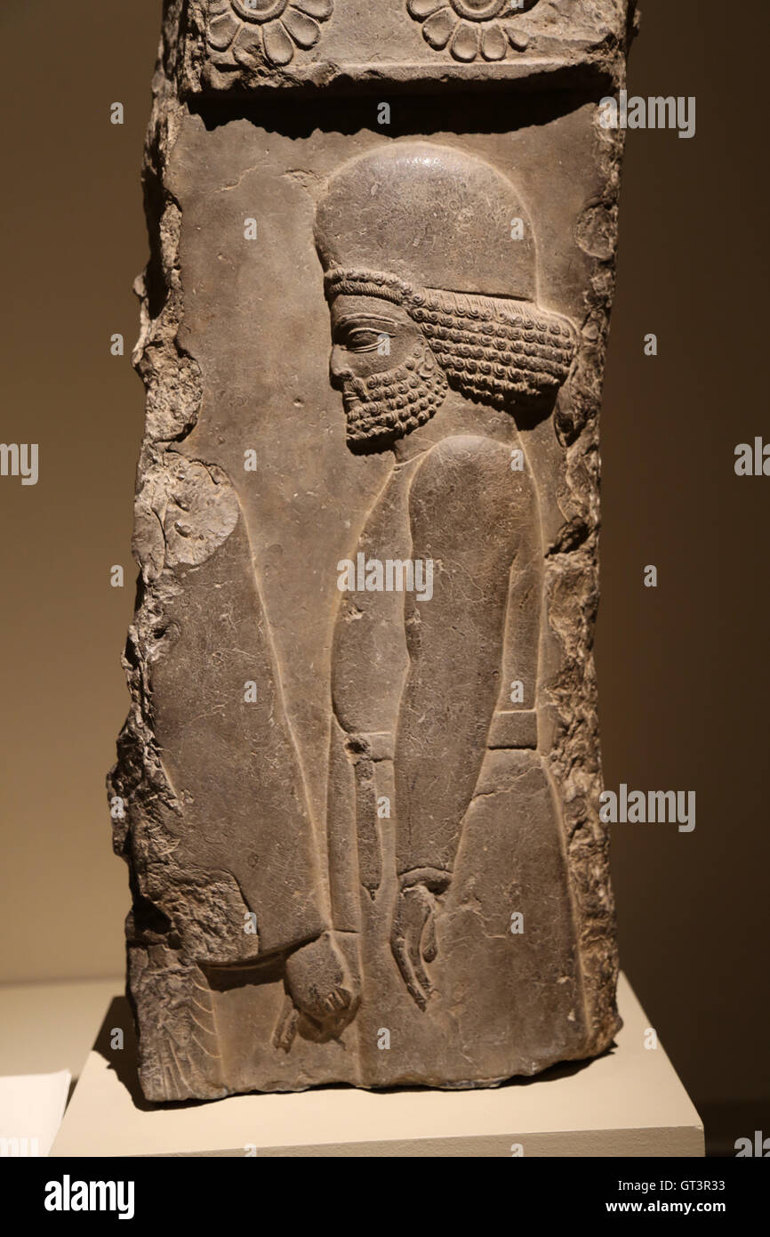 Período aqueménida. Reinado de Artajerjes II, 405-360 A.C. figura en una procesión. Palacio de Darío I. Persépolis. Irán. Foto de stock