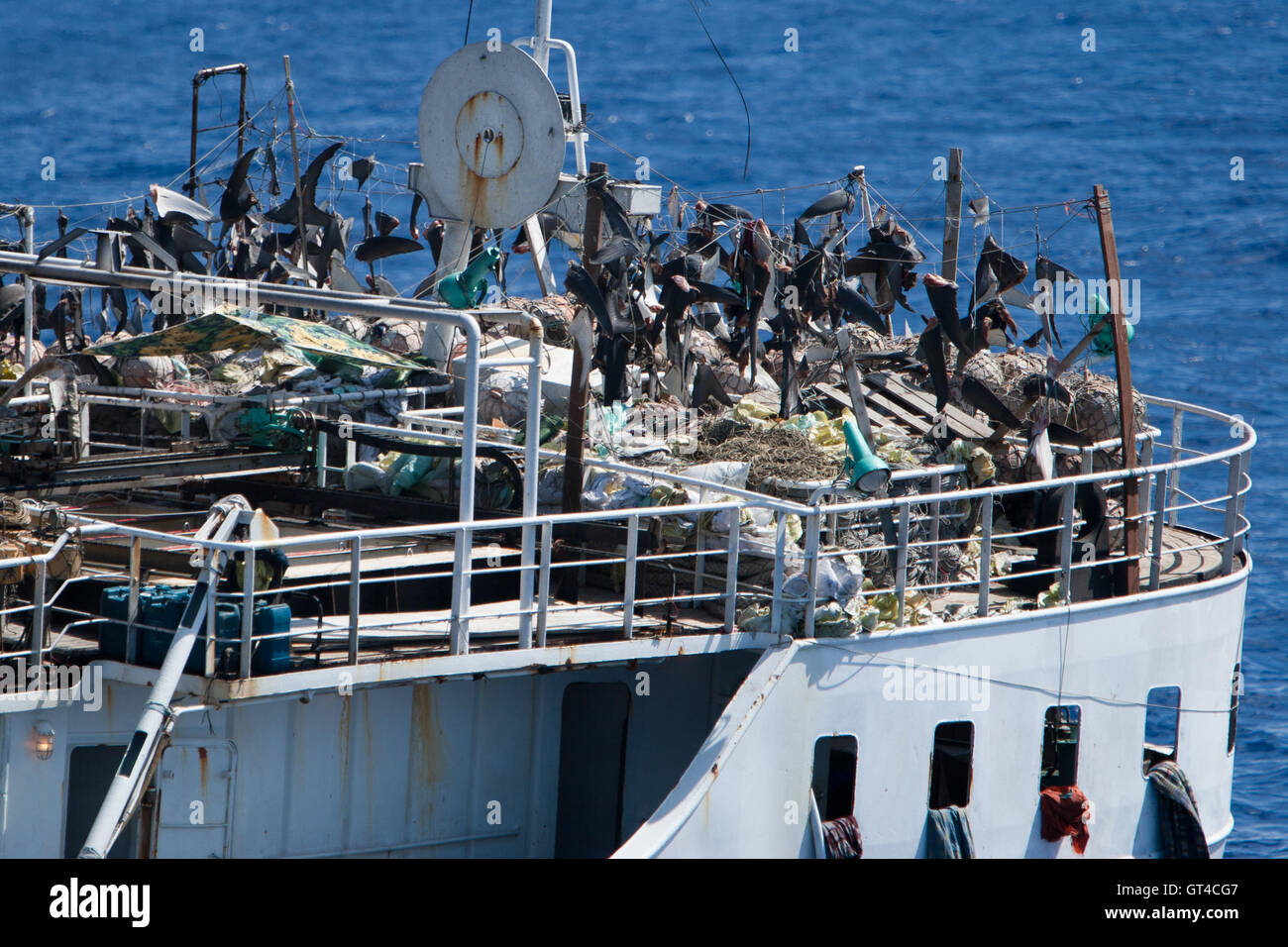 Barco de pesca de aletas de tiburón ilegal cerca de la isla Ascensión en el Atlántico Foto de stock