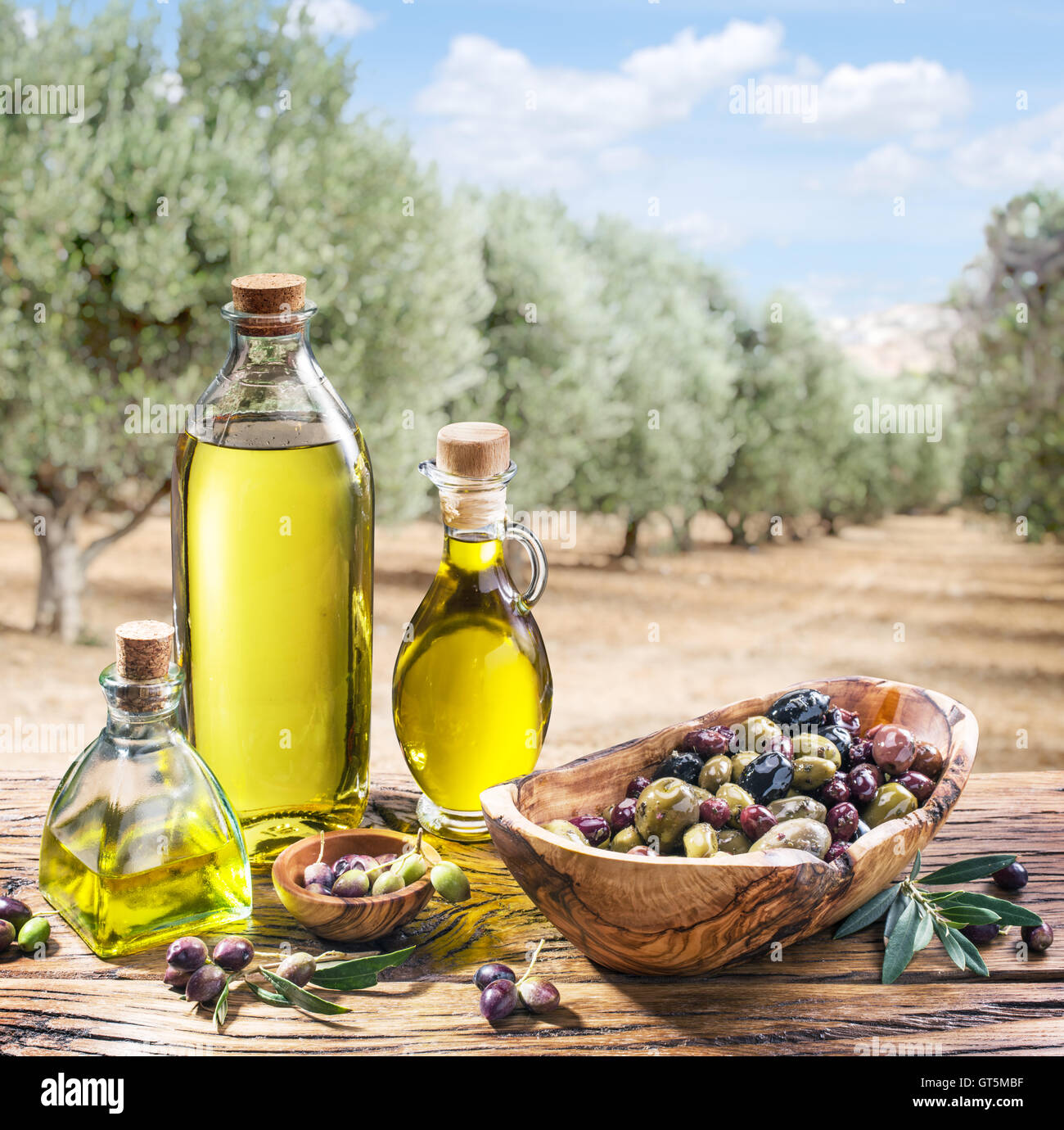 El aceite de oliva y bayas están sobre la mesa de madera bajo el olivo. Foto de stock