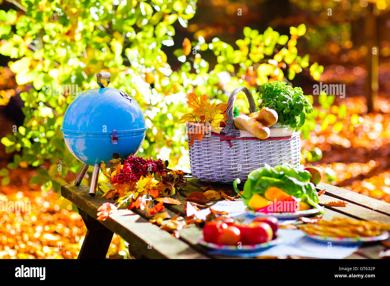 Cesta Picnic: ¡juego y diversión al aire libre!