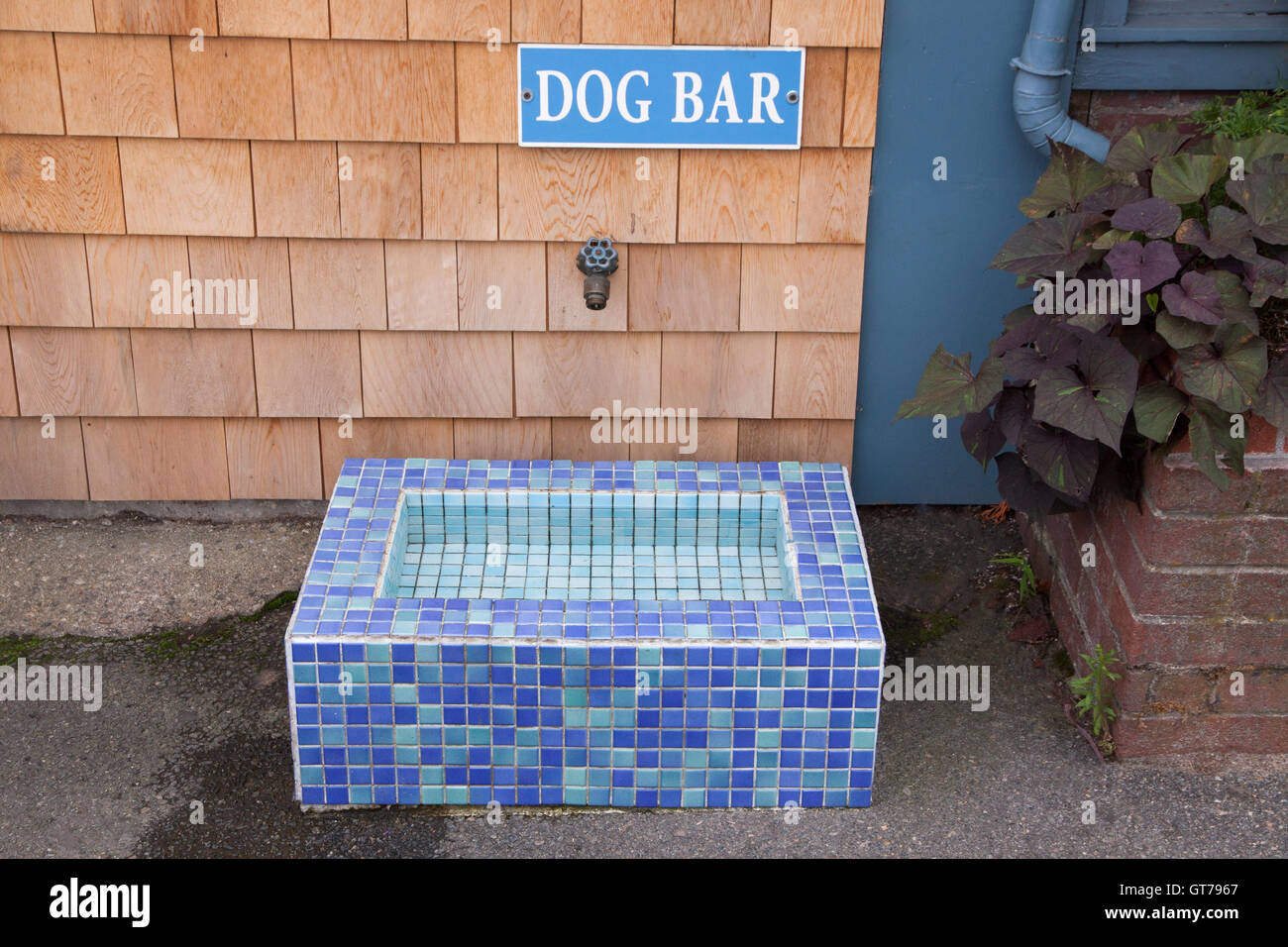 Dog bar firmar fuera de un restaurante que ofrece una fuente de agua a los sedientos perros. Foto de stock