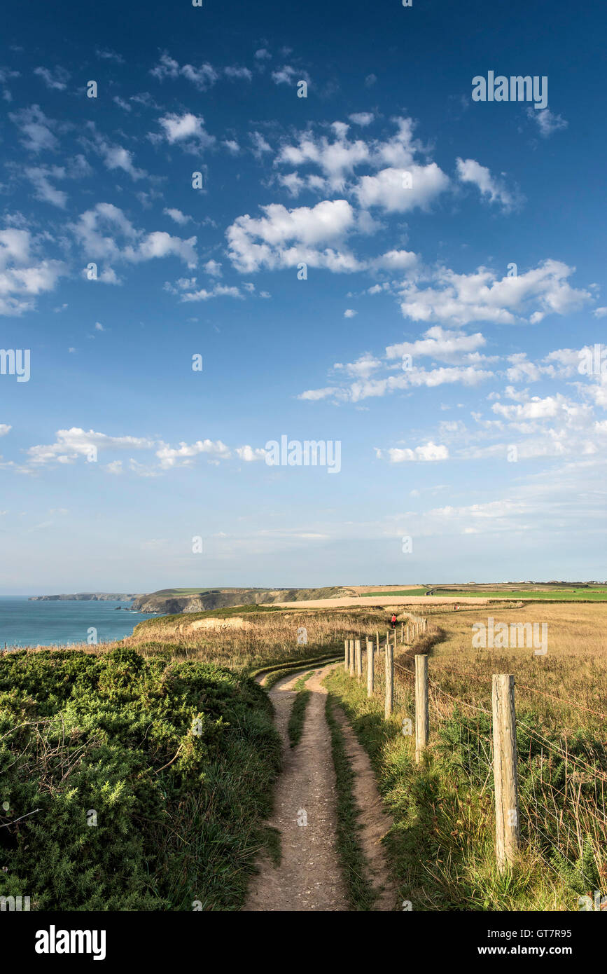 La Ruta Costera Sur Oeste ejecutando desde Newquay a Watergate Bay. Foto de stock