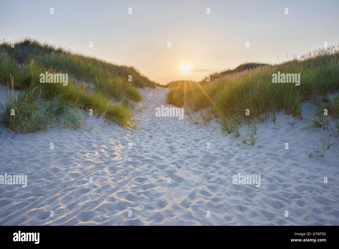 Ruta a través de la arena de las dunas al atardecer a la playa, Bunken, Aalbaek Bay, Mar Báltico, en el norte de Jutlandia, Dinamarca Foto de stock