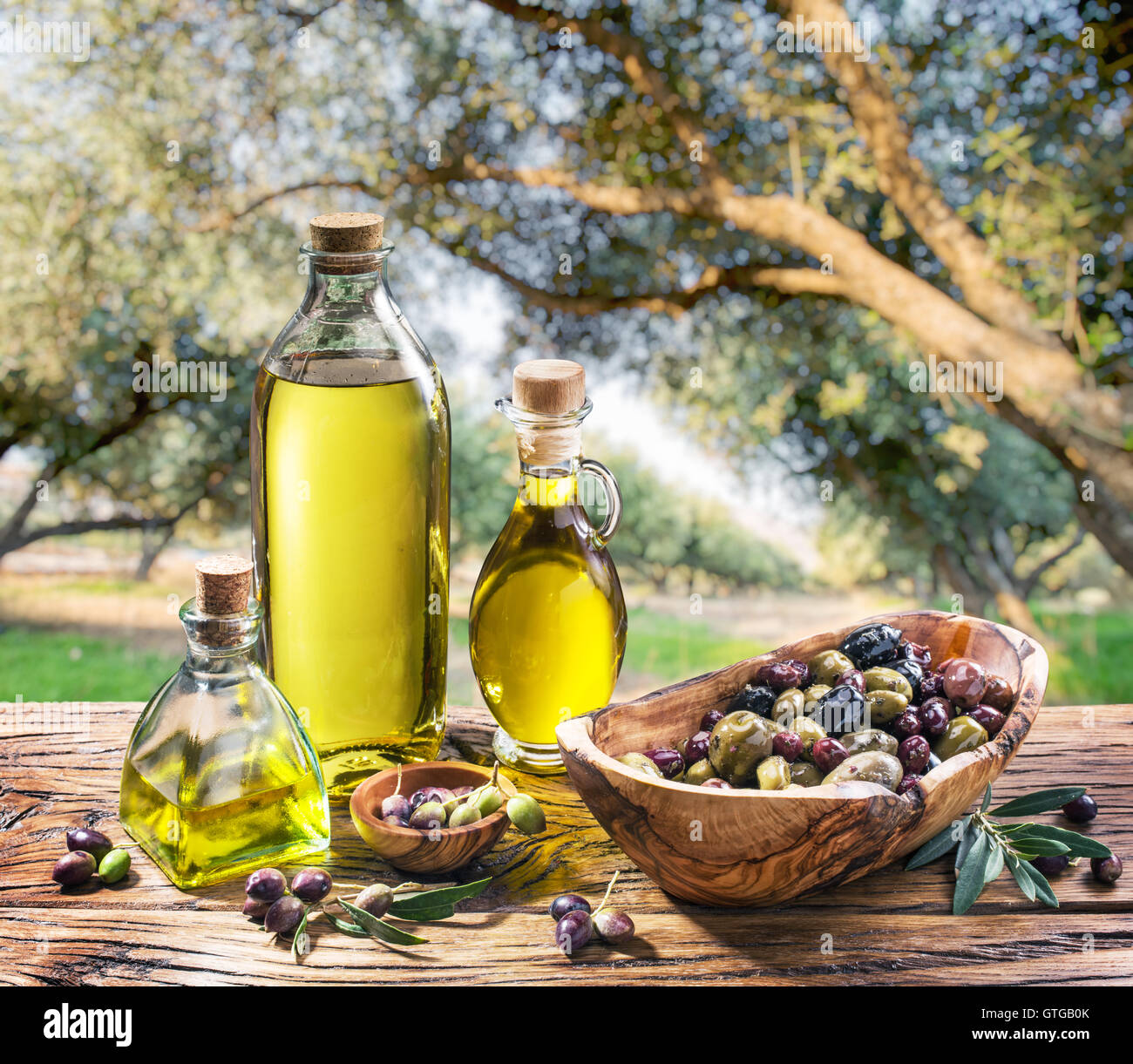 El aceite de oliva y bayas están sobre la mesa de madera bajo el olivo. Foto de stock