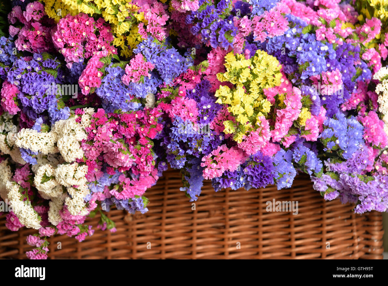 Bouquet de flores silvestres en varios colores Foto de stock