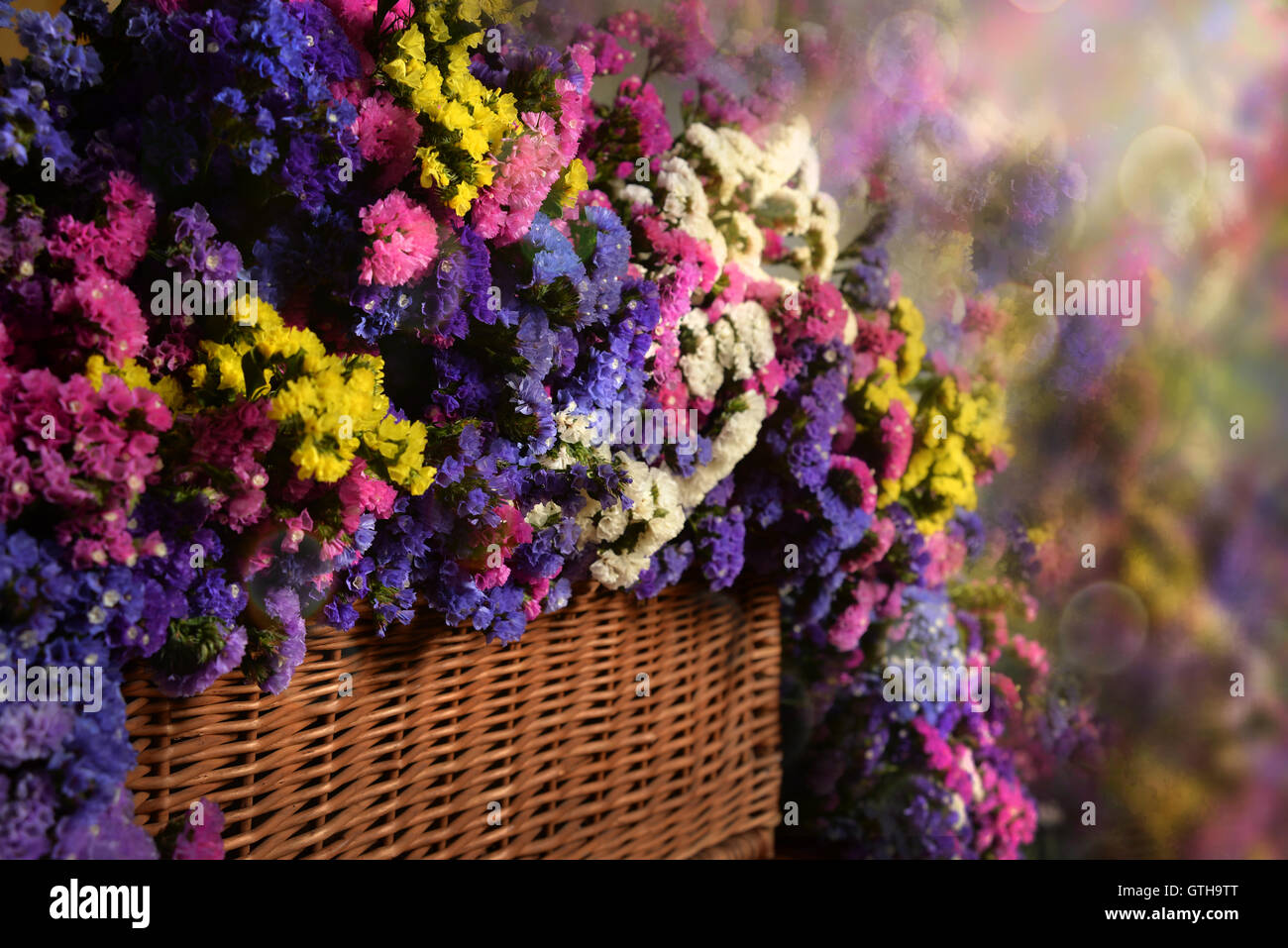 Bouquet de flores silvestres en varios colores Foto de stock