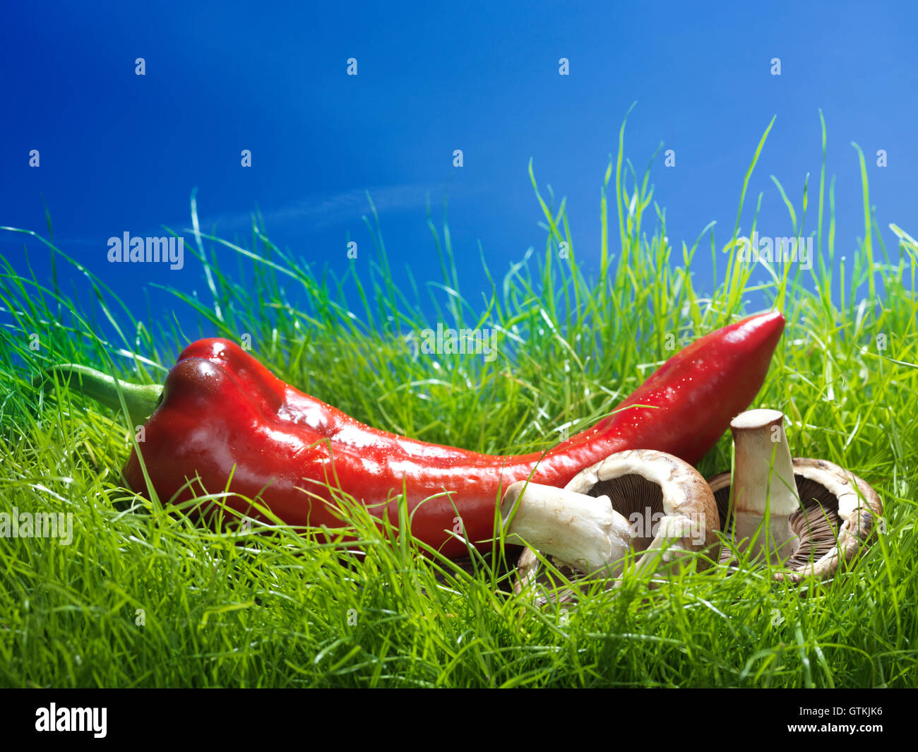 Mucho Pimiento dulce italiano Marconi y setas vremini rojo sobre verde hierba bajo un cielo azul comida artística bodegón Foto de stock