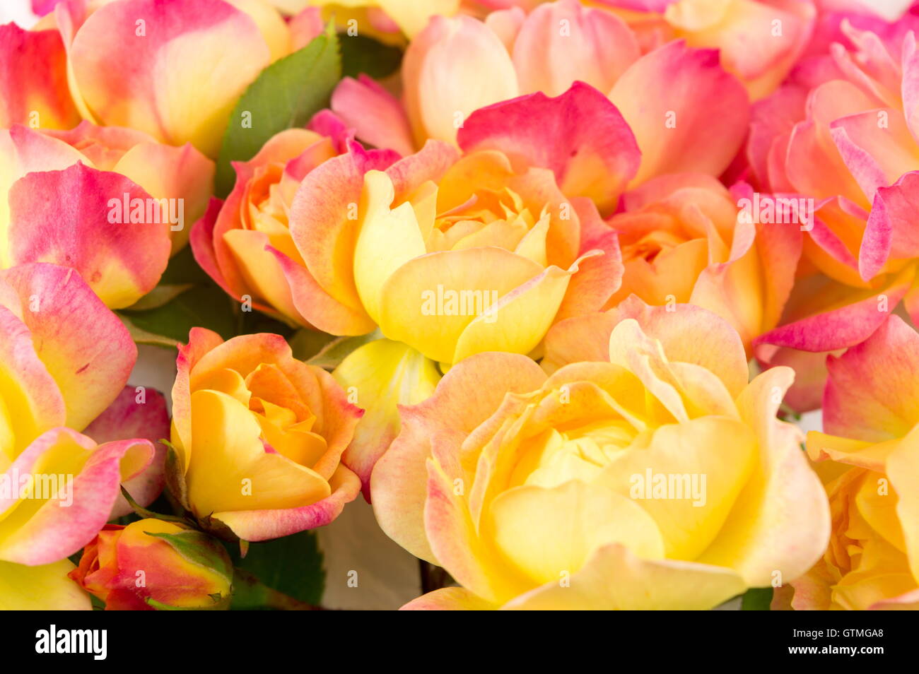 Flores de tela fotografías e imágenes de alta resolución - Alamy