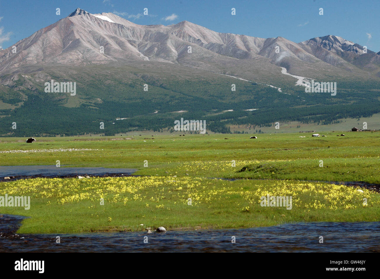 Sayan Montañas por encima del río, lago Khövsgöl Horoo, Mongolia Foto de stock