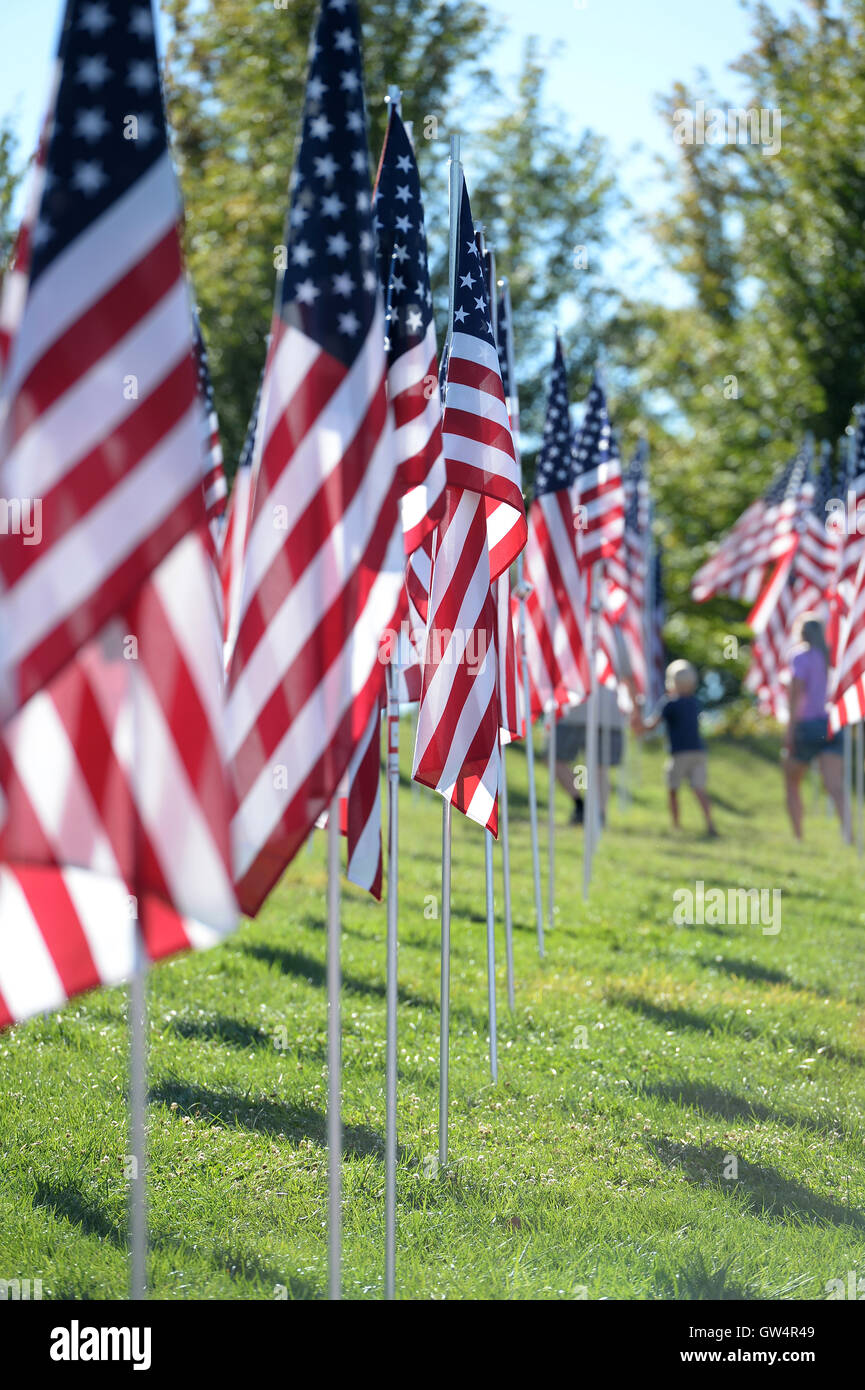 Saint Louis, MO - 11 de septiembre de 2016: Más de 7.000 marcas con nombre, foto y dog tag de soldado muerto defendiendo los Estados Unidos ola fuera del Museo de Arte de San Luis en San Luis, Misurí, Crédito: Gino's Premium Images/Alamy Live News Foto de stock