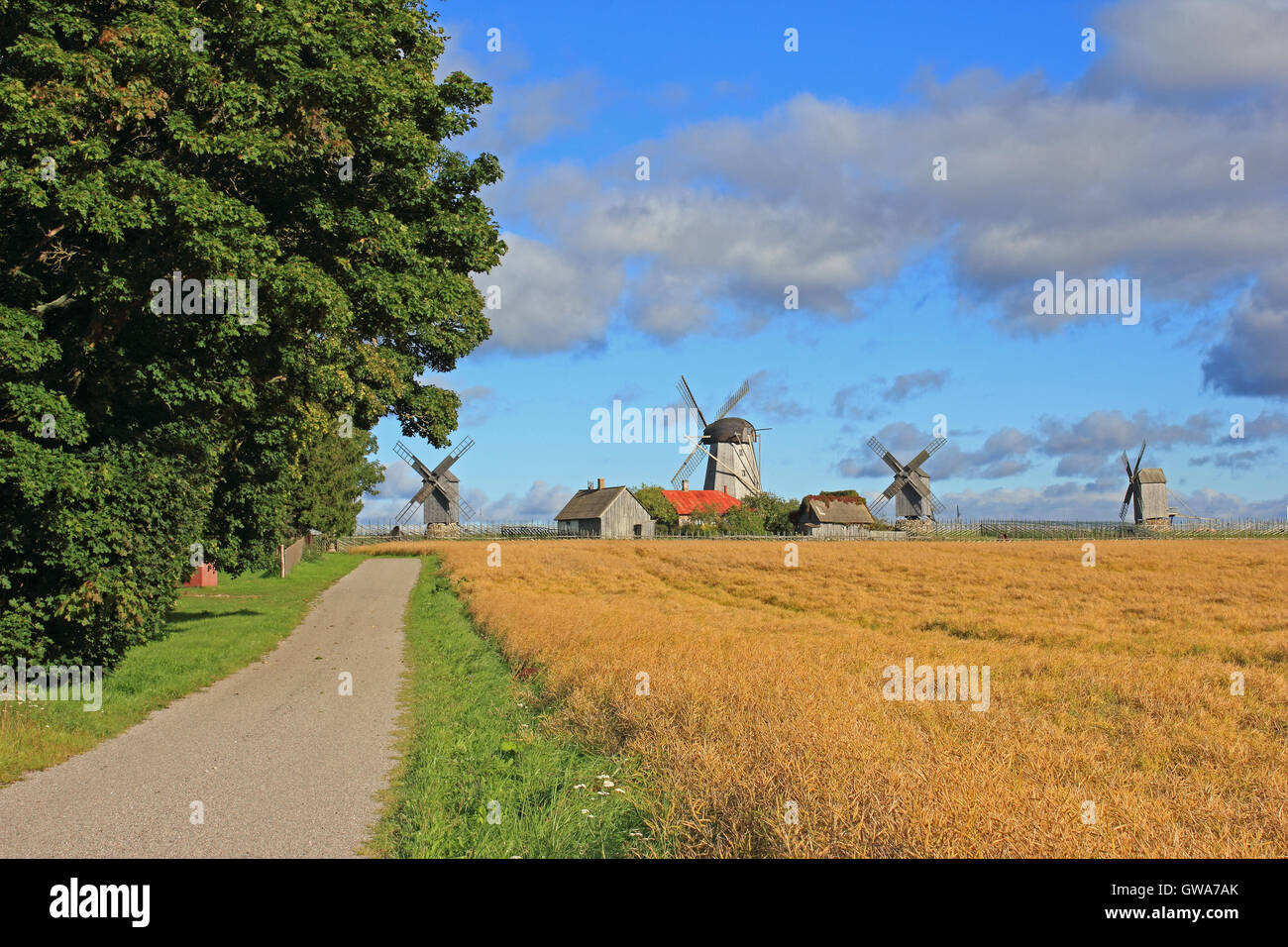 País por carretera y los molinos de viento, Saaremaa, Estonia Foto de stock