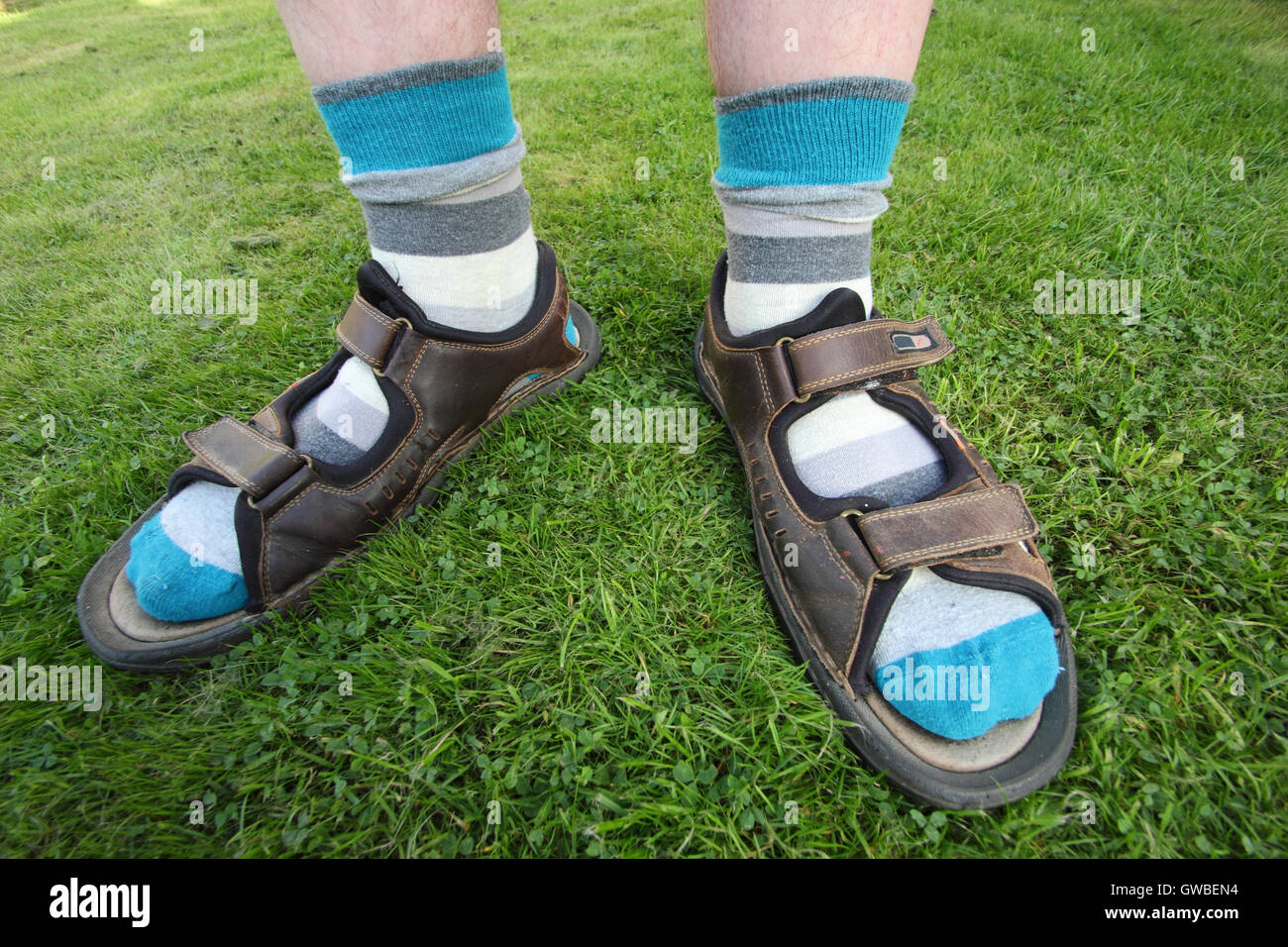 Un hombre inglés lleva calcetines con sandalias durante el verano en un  jardín interno, Inglaterra LIBERADO MODELO DEL REINO UNIDO Fotografía de  stock - Alamy